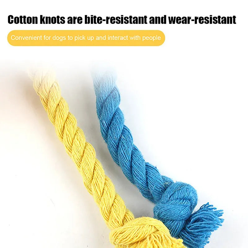 Blue elastic football dog tug toy made from cotton rope for interactive play