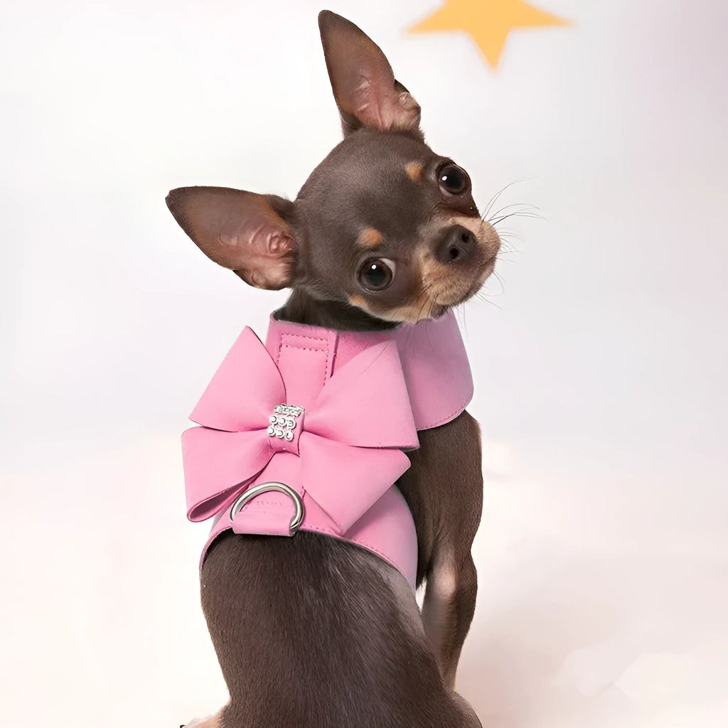 Dog chest strap with bowknot detail in microfiber available in pink, blue, and orange colours