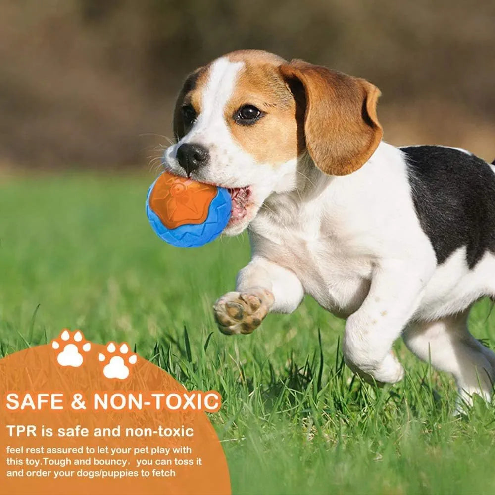 Set of three TPR dog toys: a blue squeaky ball, an orange barbell, and red tyres on grass.