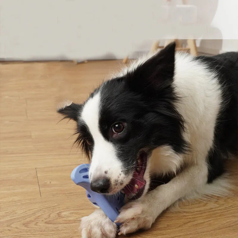 Blue boomerang-shaped rubber chew toy for medium and large dogs on a plain background.