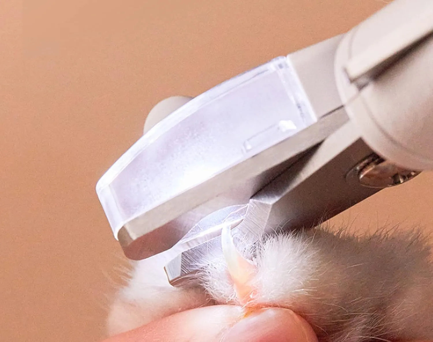White pet nail clippers with LED light, anti-splash guard, and a nail file on a table.