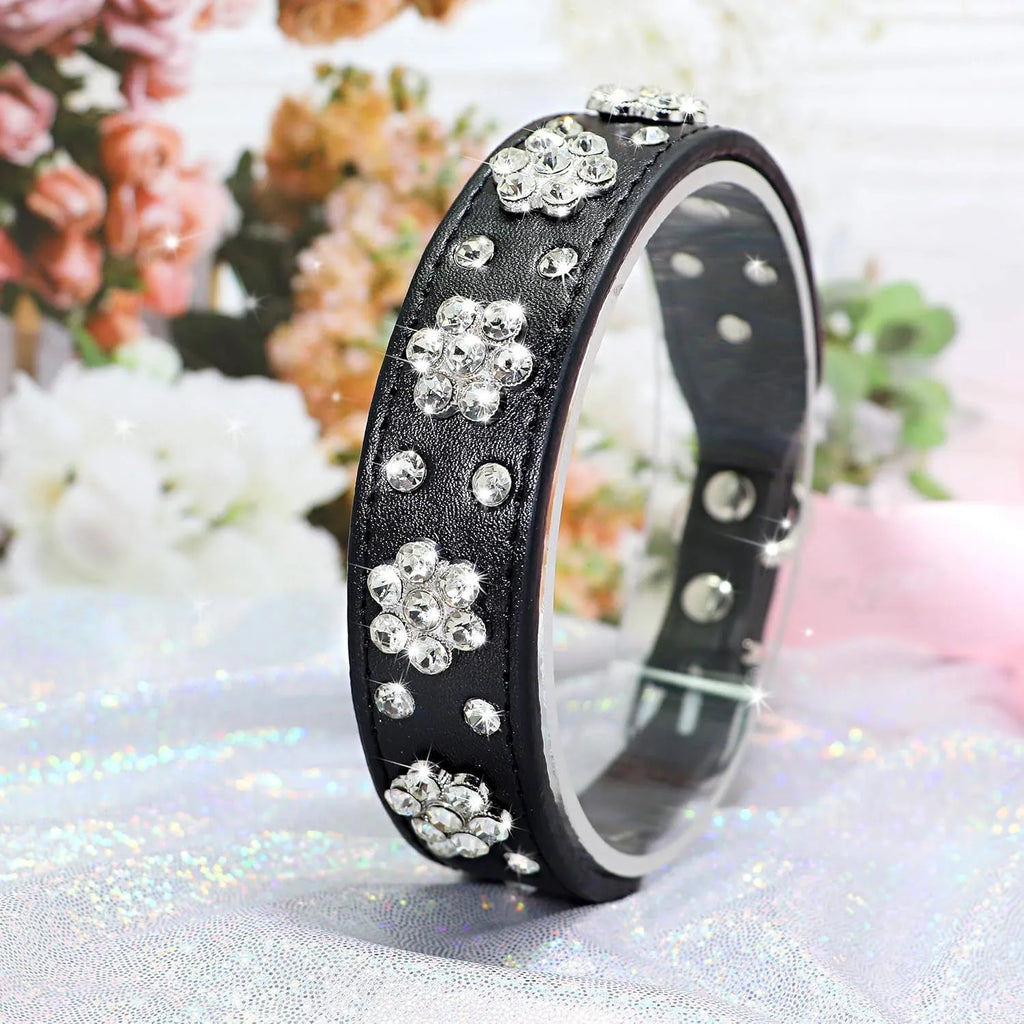 Black PU leather dog collar with silver rhinestone flower pattern and studs, shown on a small dog.