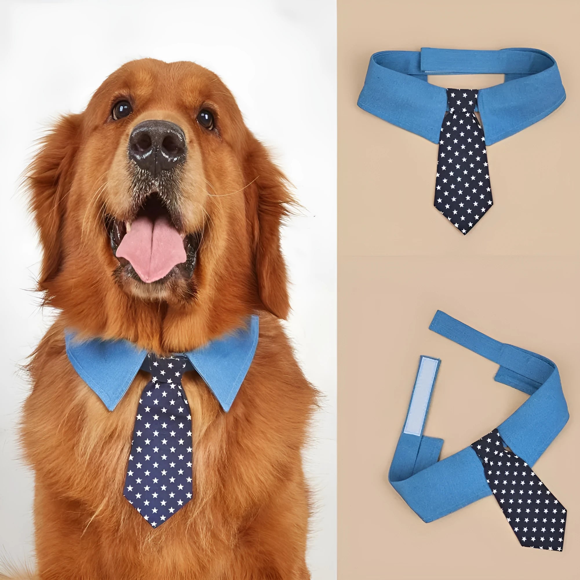 Blue denim adjustable dog collar with a black bow tie featuring white star patterns.