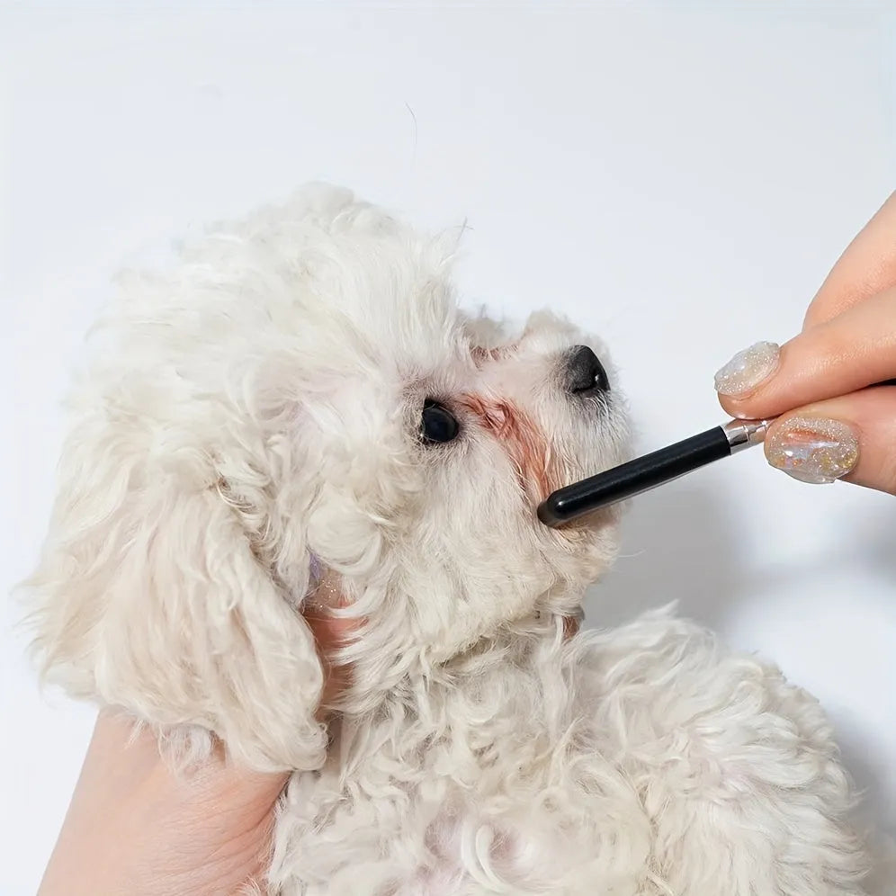 Black pet grooming brush with soft bristles for tear stain removal and integrated comb section