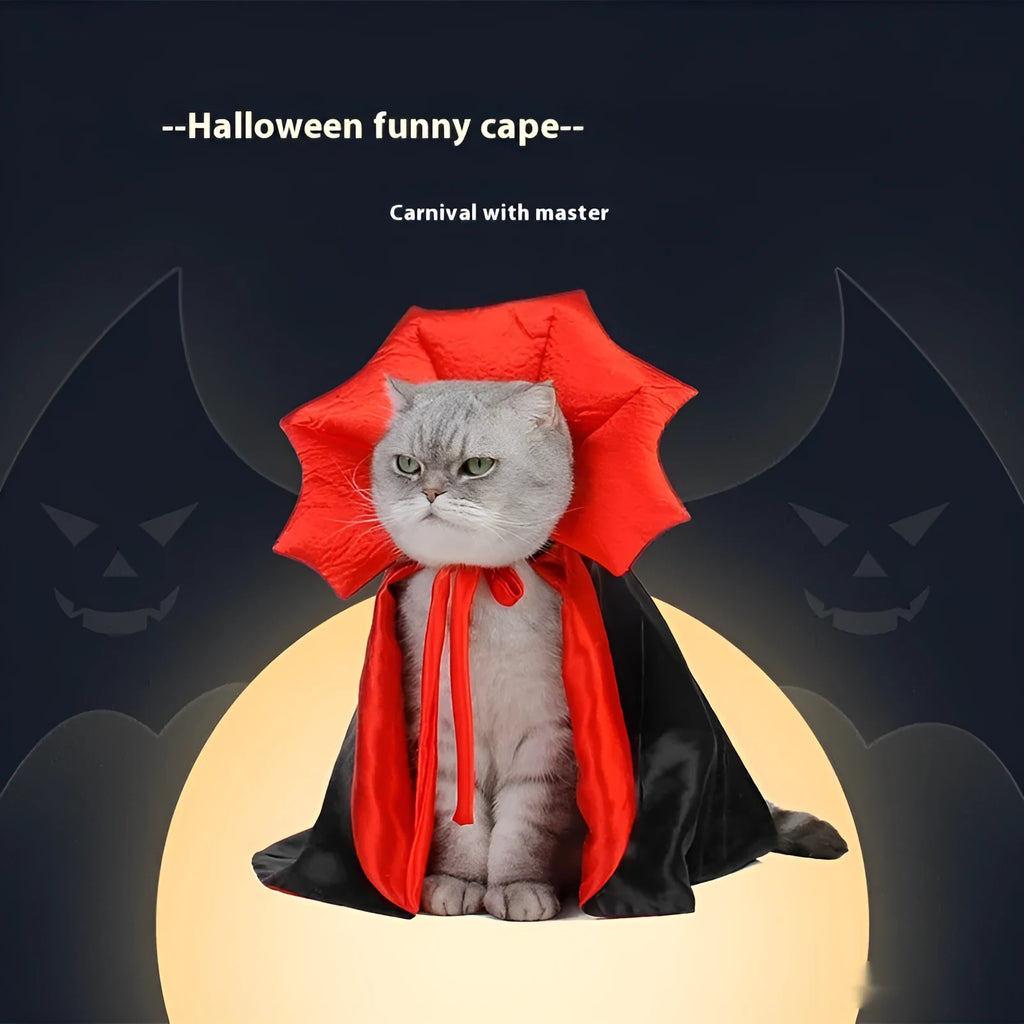 Black and red Halloween pet costume for cats and dogs with European American style design