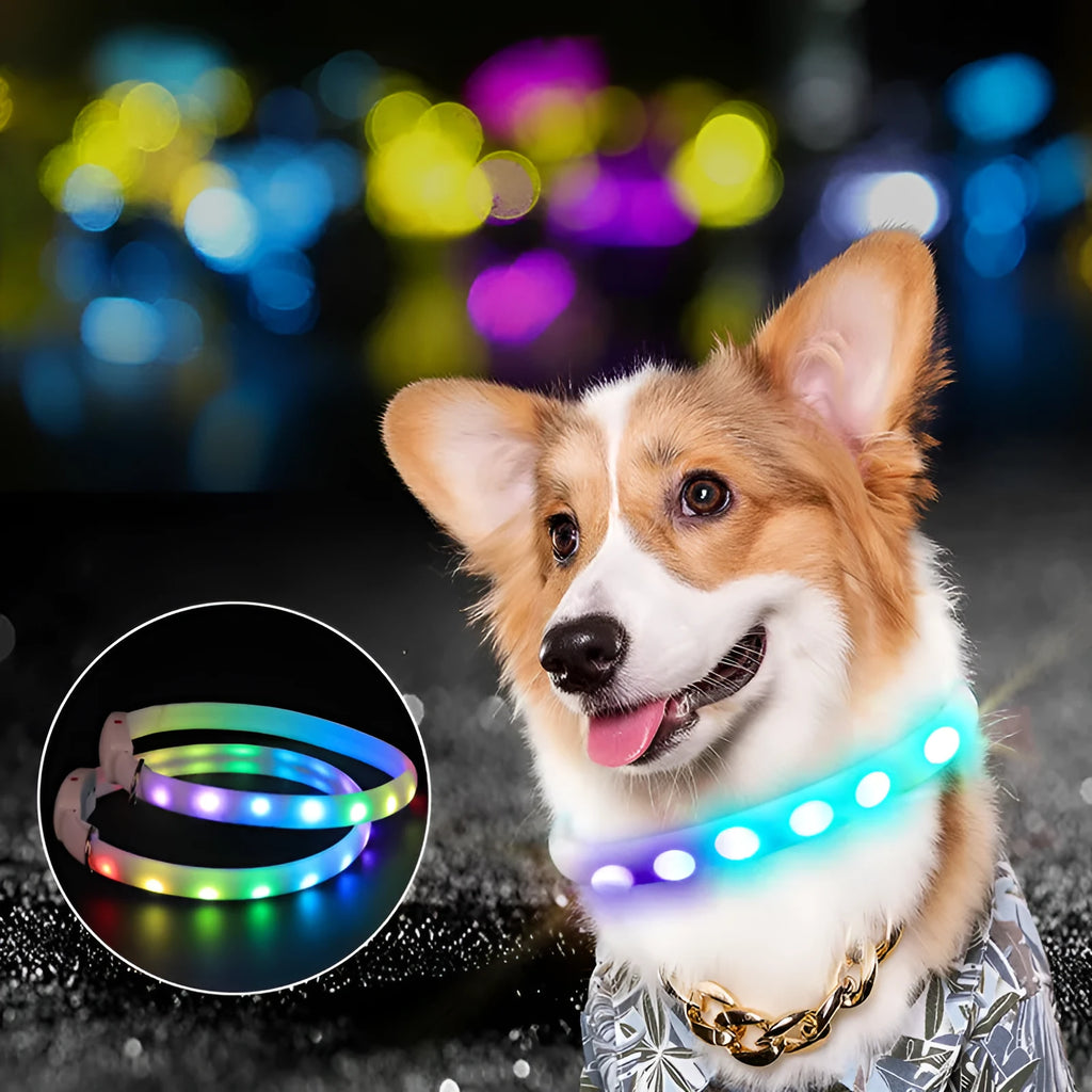 White USB rechargeable LED dog collar on a dark background, showing glowing tube and ABS switch
