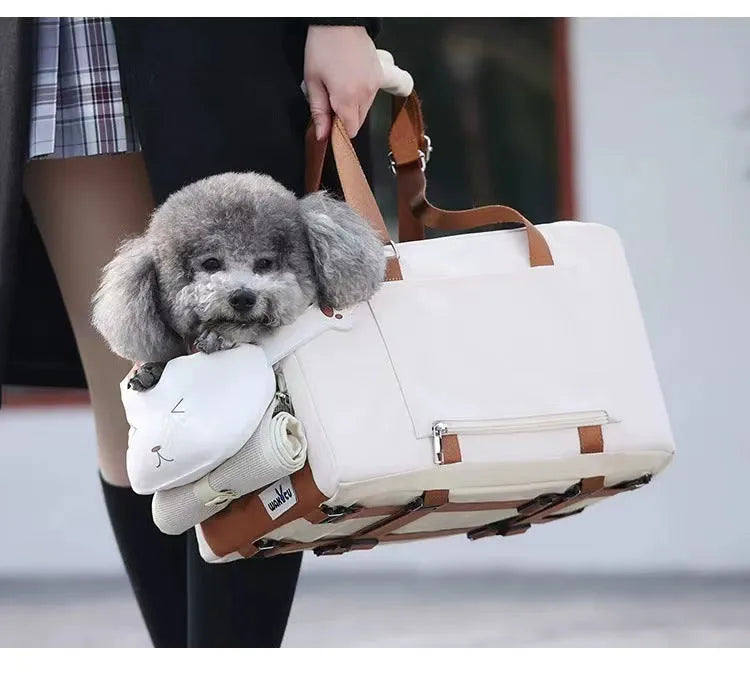 Beige hard-sided outdoor pet carrier with EPE padding, dimensions 43x25x22.5 cm