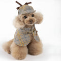 Camel coloured personalised cotton cloak for a dog with an adjustable hood.