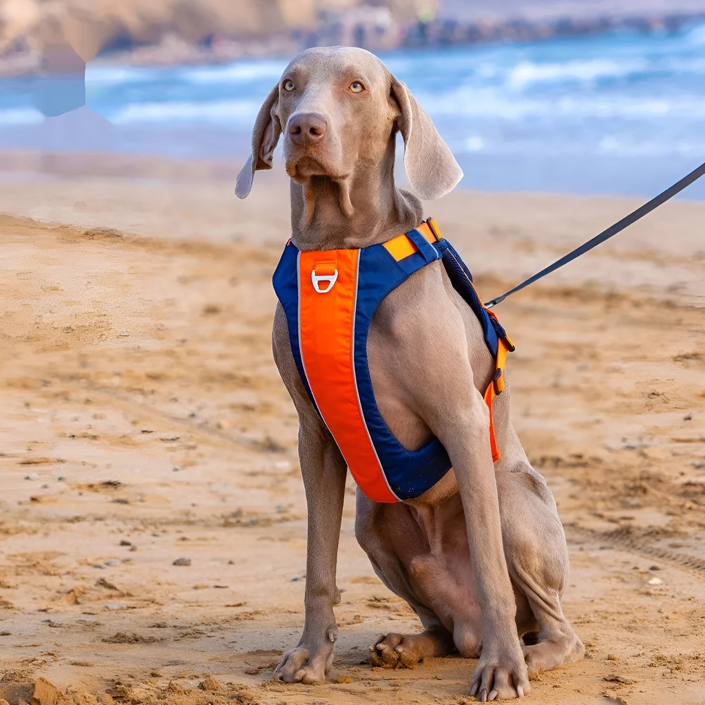 Orange and blue nylon dog chest strap vest harness shown on a model.