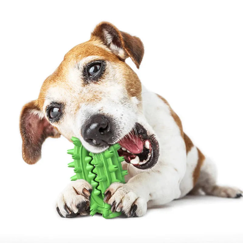 Green durable cactus-shaped dog toothbrush chew toy for aggressive chewing and dental care.
