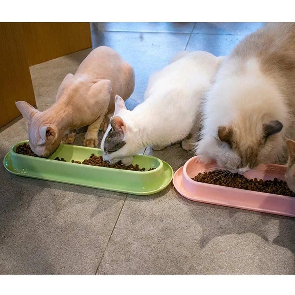 Green stainless steel pet bowl set with silicone mat for dogs and cats