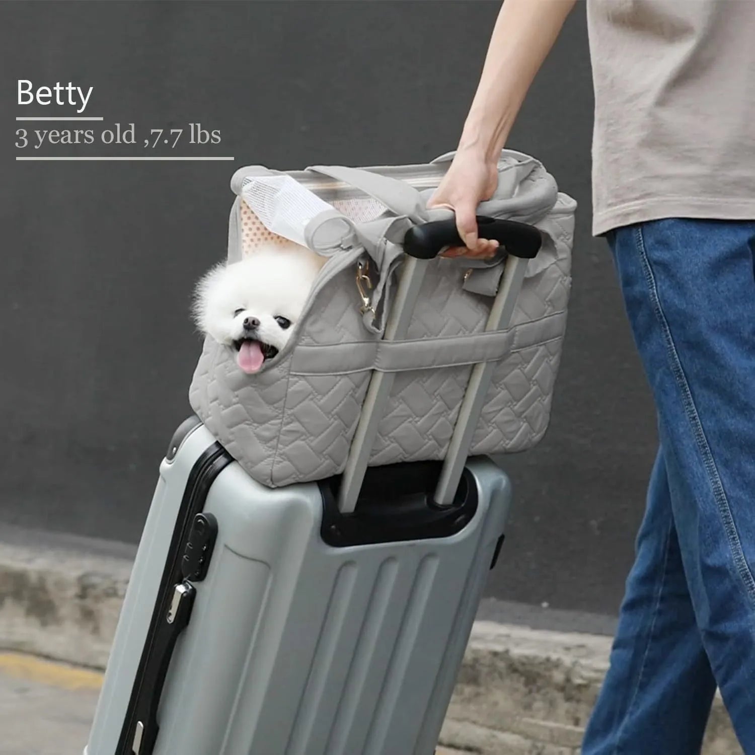Grey pet carrier handbag with mesh panels and multiple pockets for small dog or cat transport