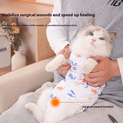 Cat wearing sterilisation recovery suit with full-body coverage and velcro closure