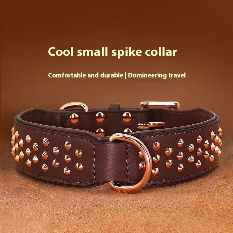 Leather dog collar with metal rivet studs in chocolate colour, shown on a size label.