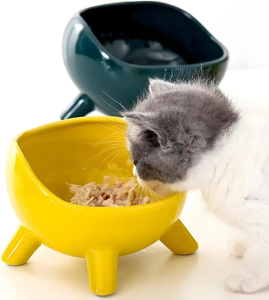 Green ceramic pet bowl with four-legged stable base and wide-mouth design
