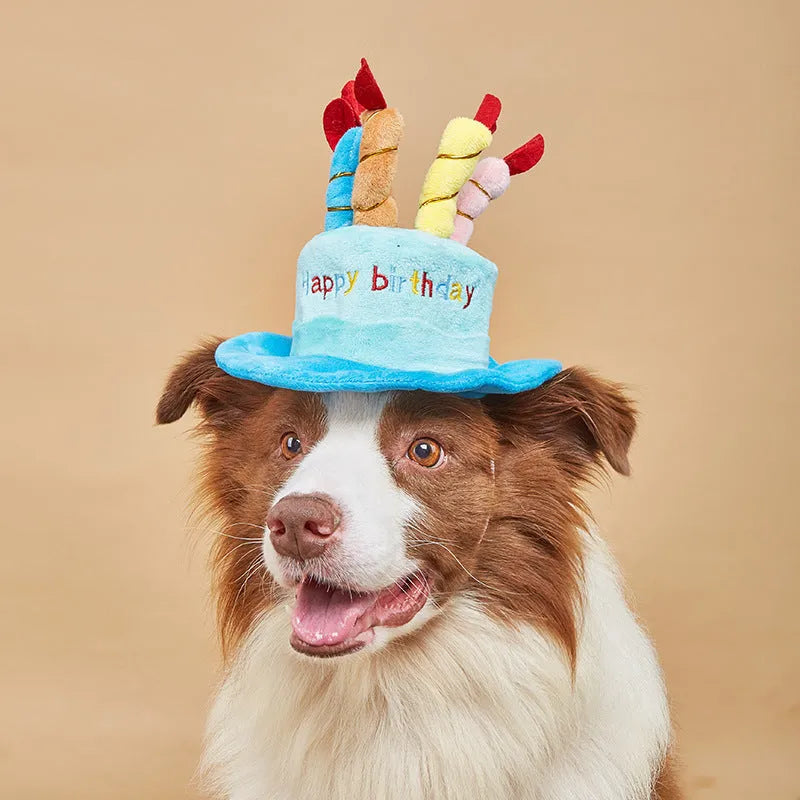 Blue and pink birthday hats for toy dogs showing 21cm width measurement