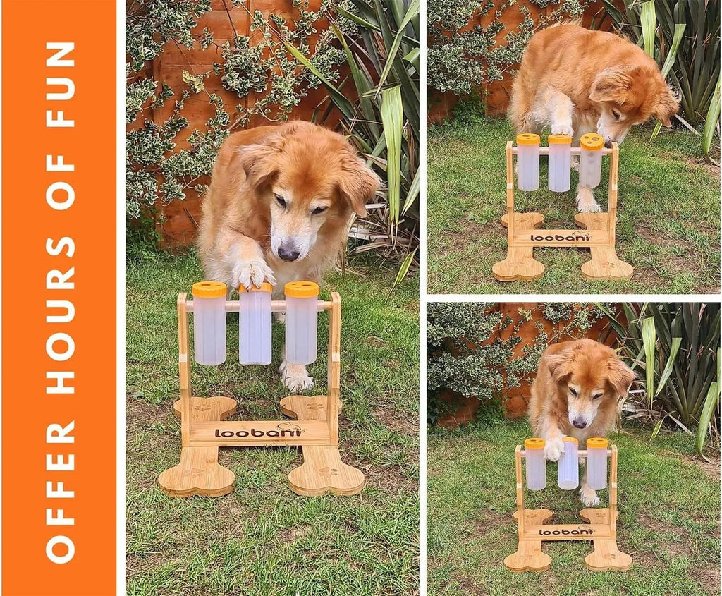 Wood colour wooden dog puzzle toy and interactive snack dispenser feeder