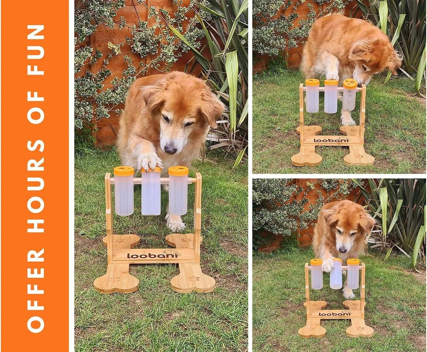 Wood colour wooden dog puzzle toy and interactive snack dispenser feeder