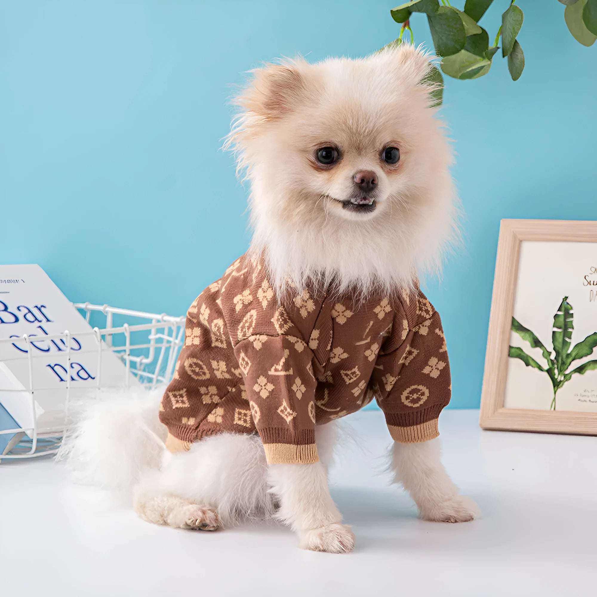 Wool dog sweater in European style available sizes XS to XXL