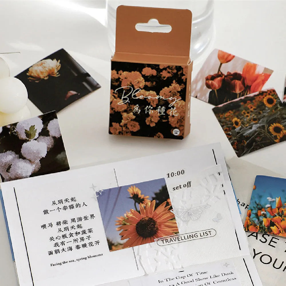 Box of Nordic style decorative stickers showing floral and scenic designs, 46 sheets total, each 44mm square.