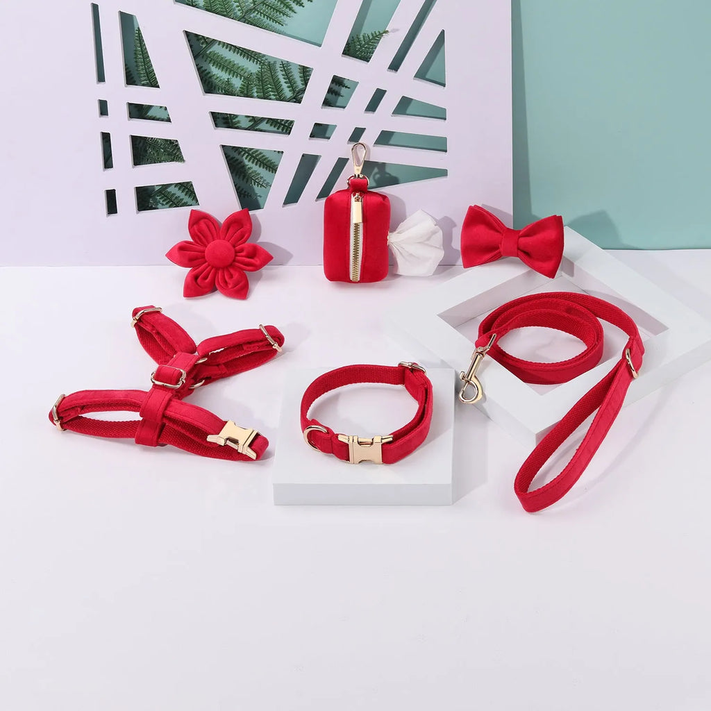 Classic velvet pet collar and traction rope set with matching bow tie, flower and accessories