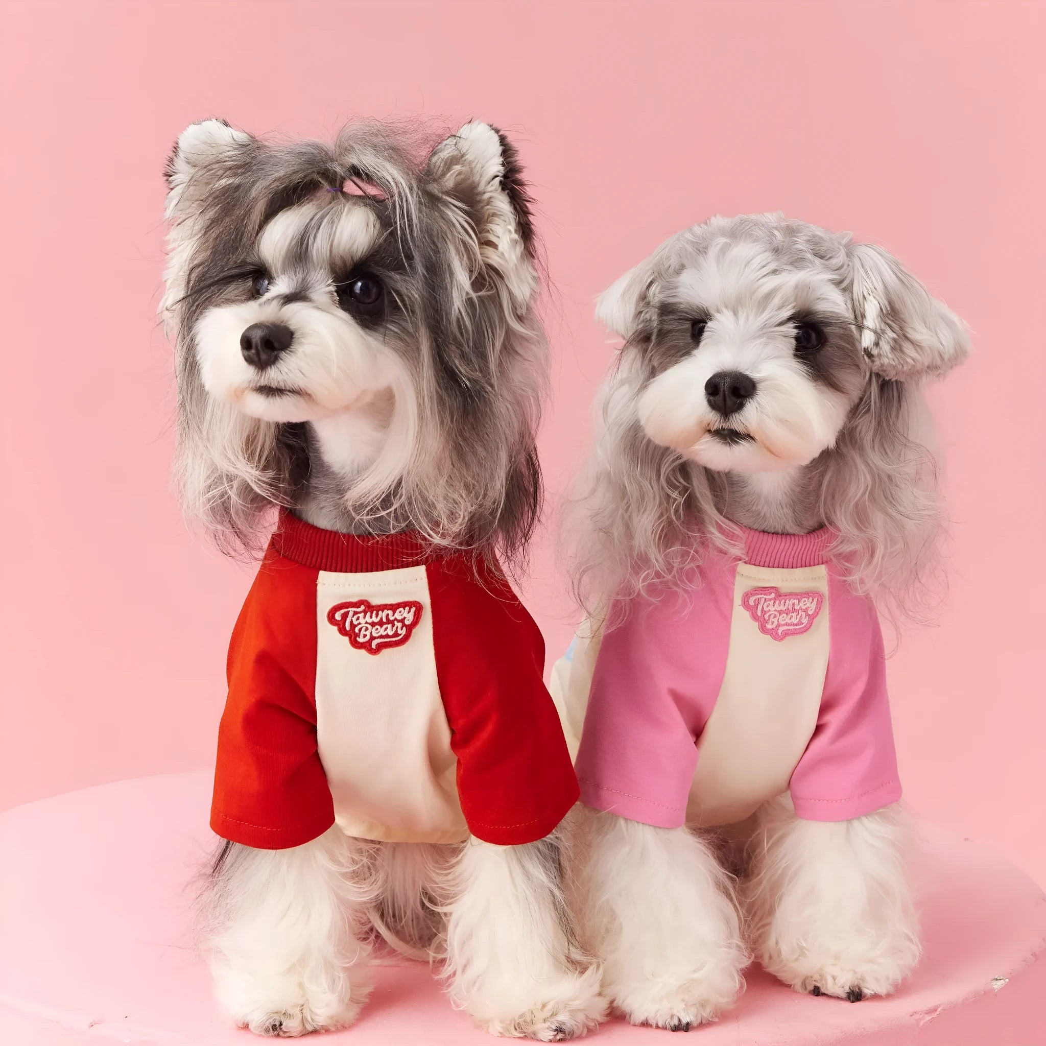Red and pink embroidered cotton summer clothes for a dog on a size scale from XS to XXL.