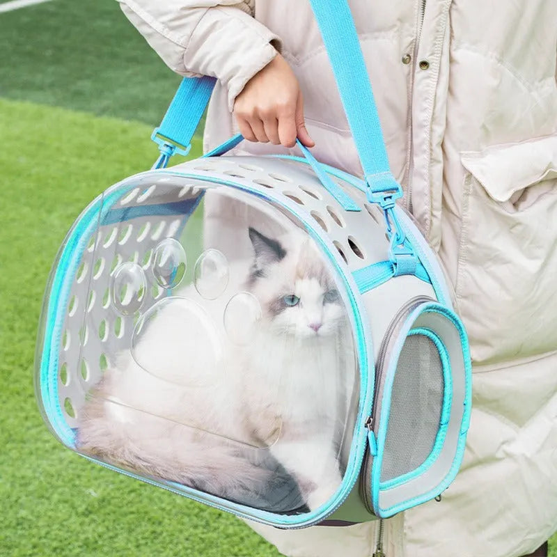 Transparent hard-sided cat carrier backpack in lake blue colour showing interior space and backpack straps