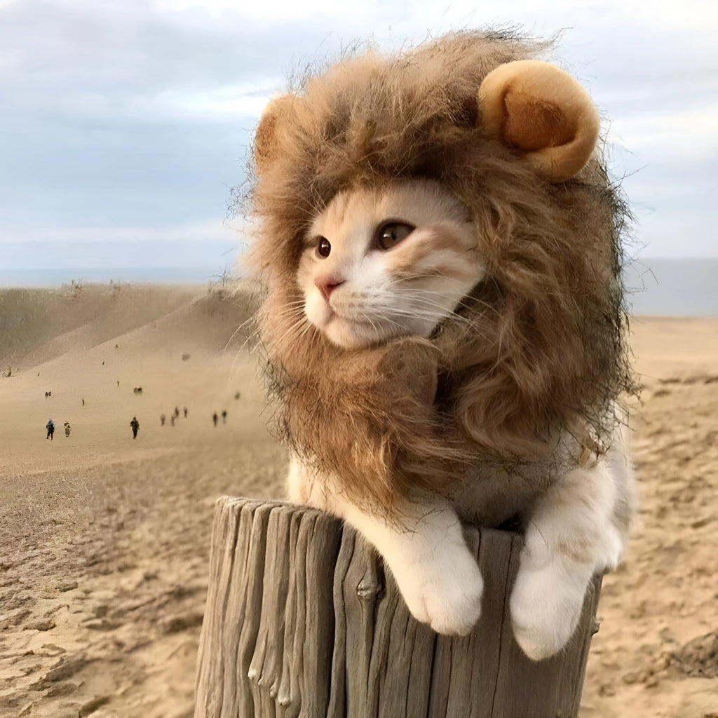 Lion mane wig costume with plush ears on a cat, showing adjustable elastic band and fluffy artificial hair.