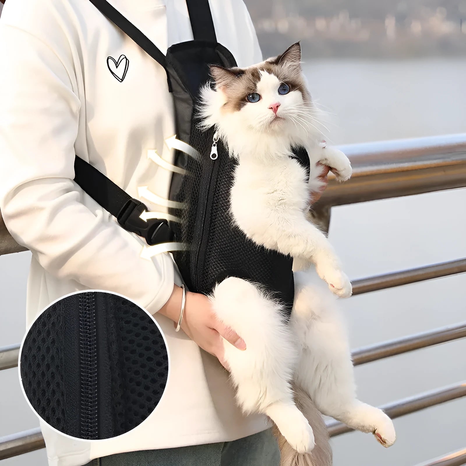 A person wearing a blue nylon dog carrier backpack on their front, containing a small dog. The bag shows mesh panels and an open-top design.