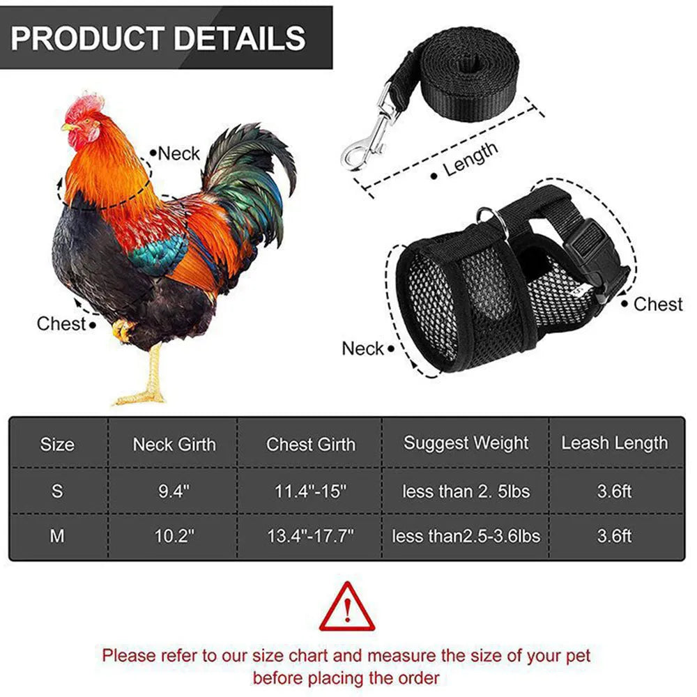 Chicken wearing mesh harness vest with decorative collar and control rope