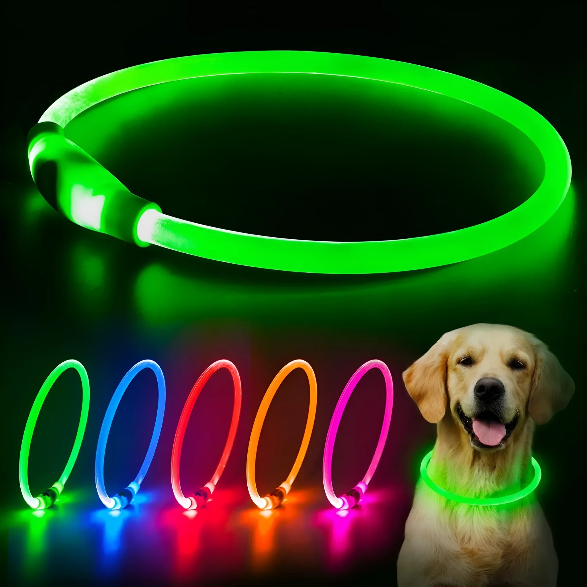 Blue USB rechargeable LED dog collar glowing around a dog's neck at night.