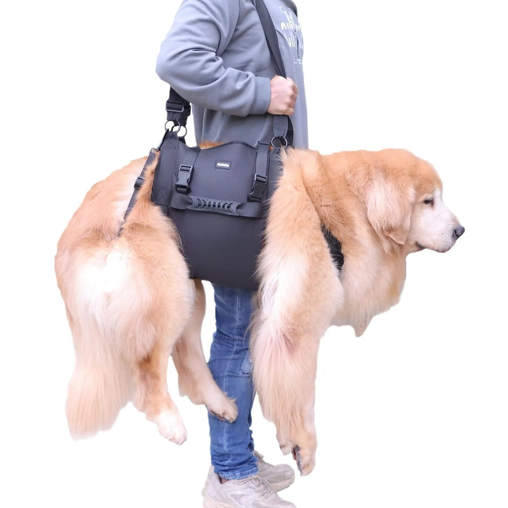Black Oxford cloth dog harness showing chest strap and leg support system for rehabilitation and outdoor use.