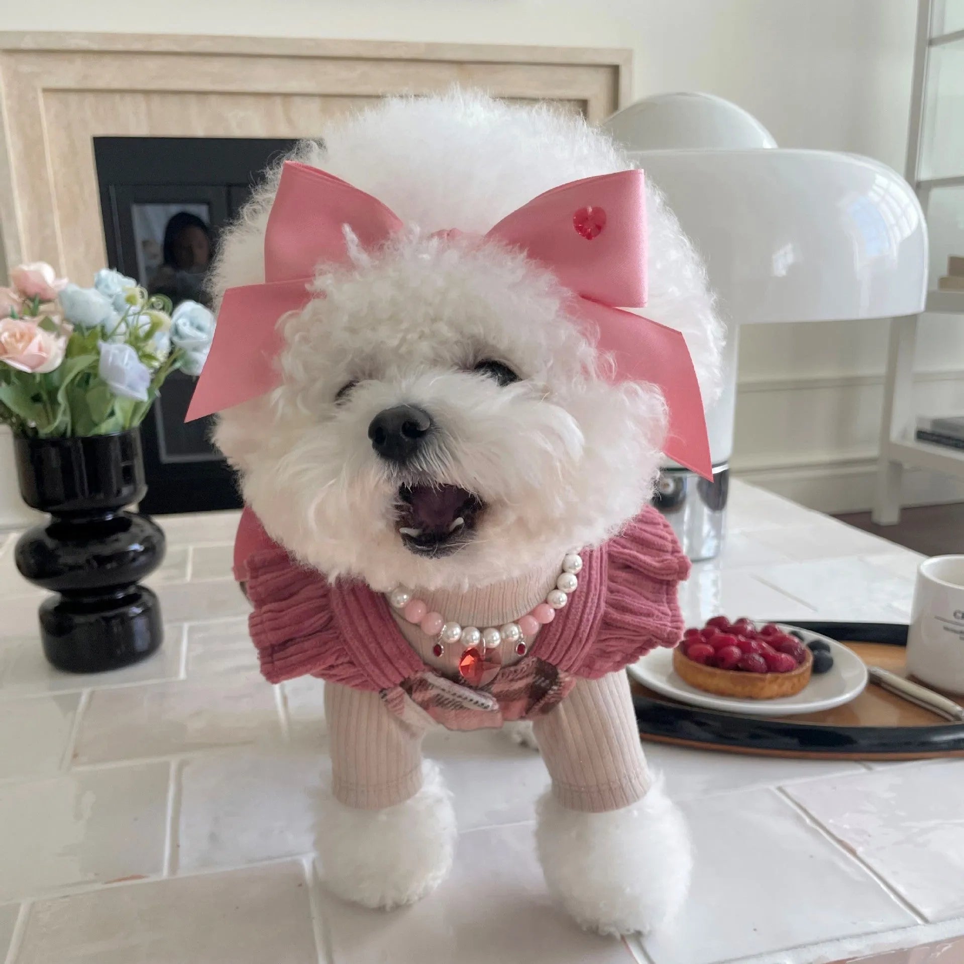 Princess style dog hair band with adjustable bow on canine model showing jacquard fabric detail