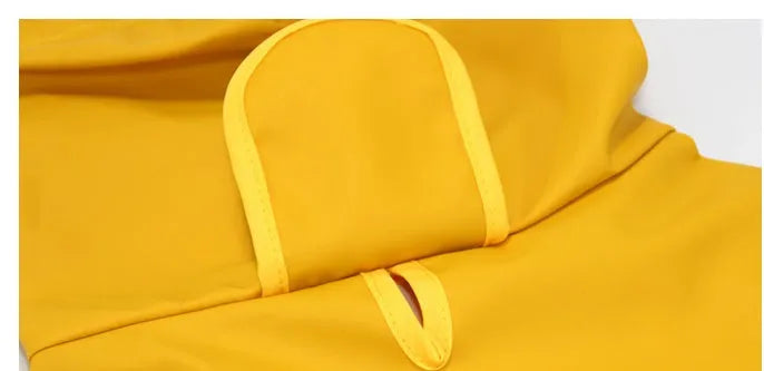 Dog wearing transparent-brim waterproof PU raincoat with bellyband in egg yolk man colour