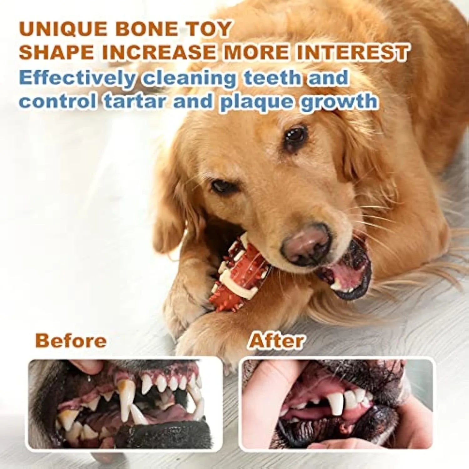 Natural rubber bone-shaped dog molar chew toy in two sizes for teeth grinding and anxiety relief