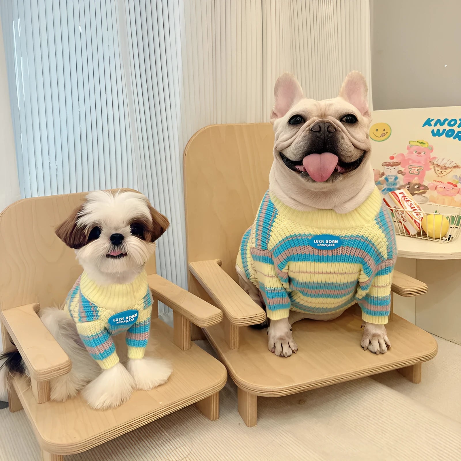 Blue and yellow striped wool dog sweater for small breeds like Schnauzer and Bichon