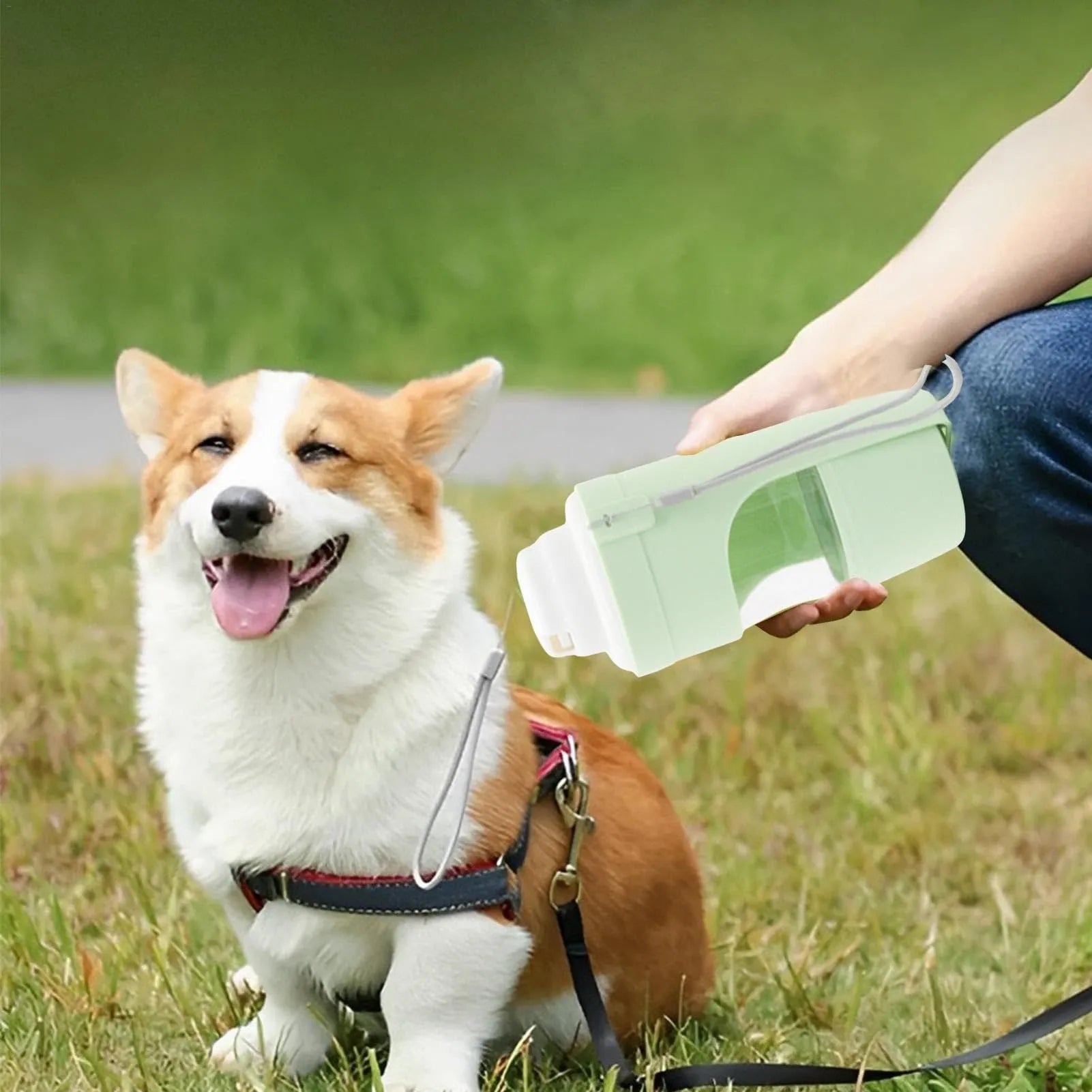 Portable pet water bottle feeder with lanyard showing grey colour option and drinking cup