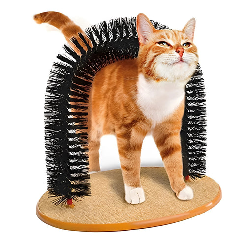 White plastic arched cat grooming tunnel with built-in brush bristles for scratching and rubbing