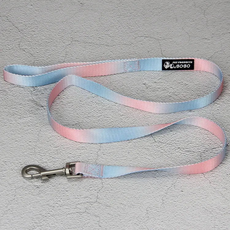 Nylon dog leash and collar set showing pink and blue gradient colour option.