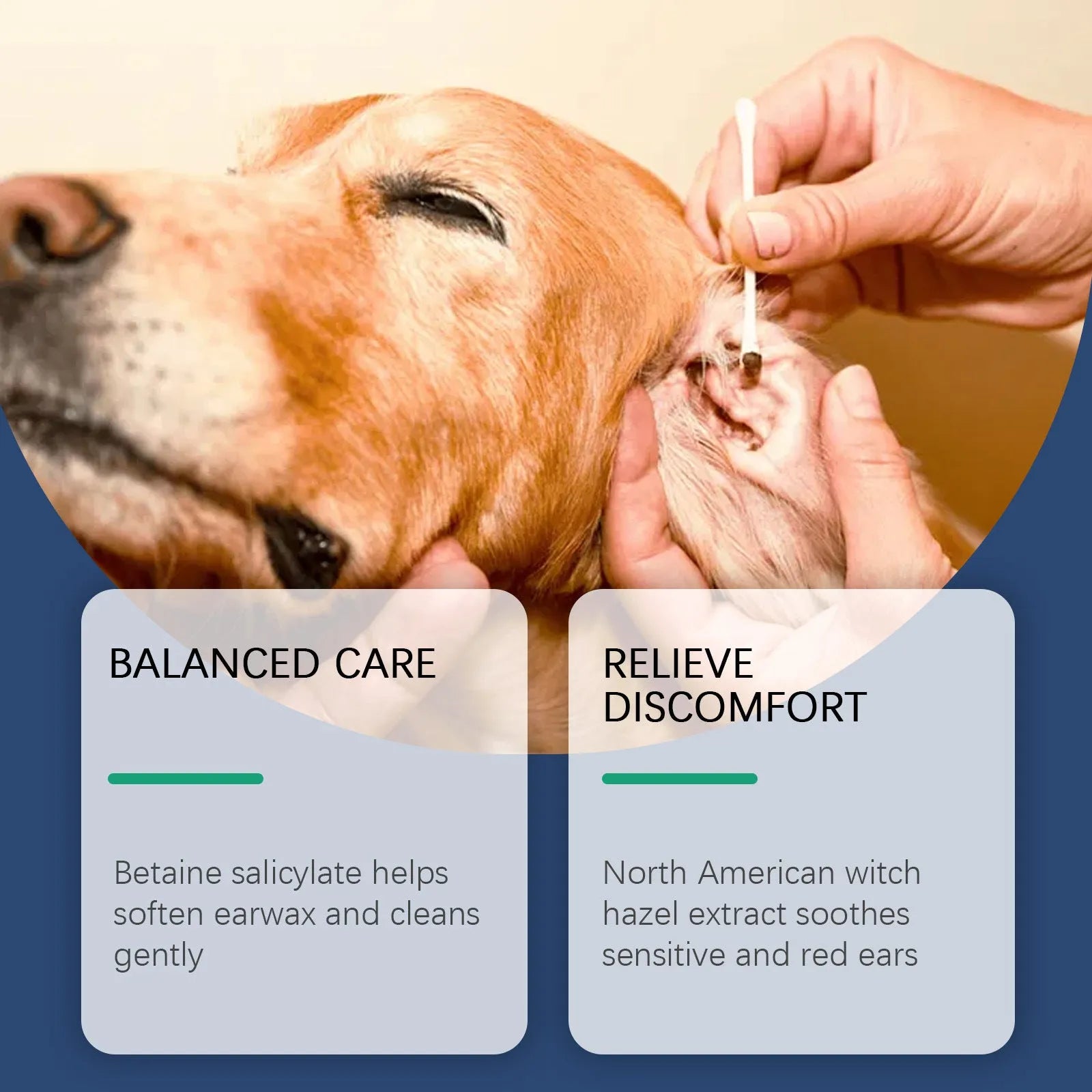 100ml bottle of veterinary ear cleaner for dogs and cats with applicator nozzle.