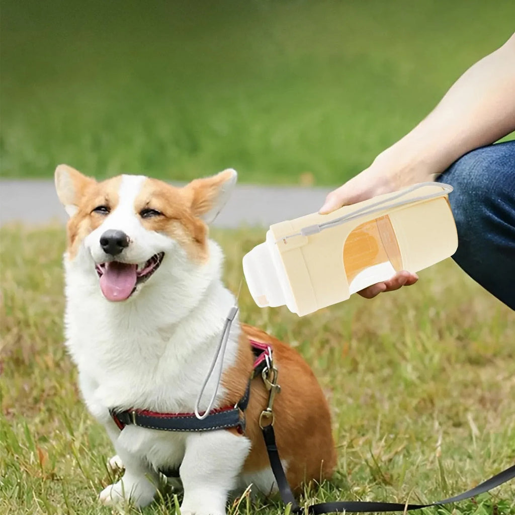Portable pet water bottle feeder with lanyard showing grey colour option and drinking cup