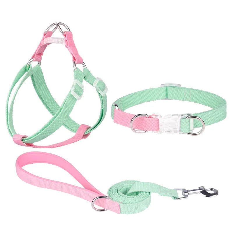Polyester dog collar set with hand holding rope and chest strap in coordinated colour combinations