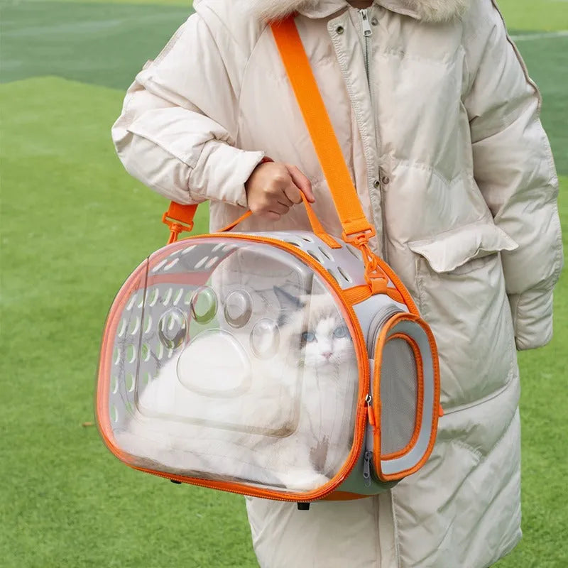 Transparent hard-sided cat carrier backpack in lake blue colour showing interior space and backpack straps