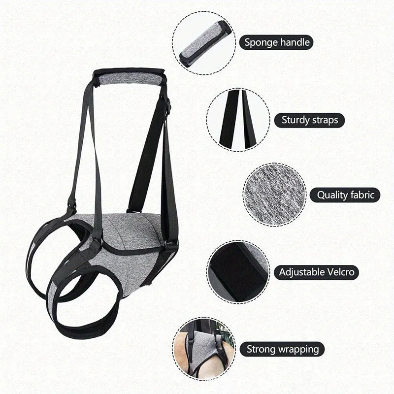 Grey neoprene dog rear leg recovery belt with adjustable waist and thigh straps