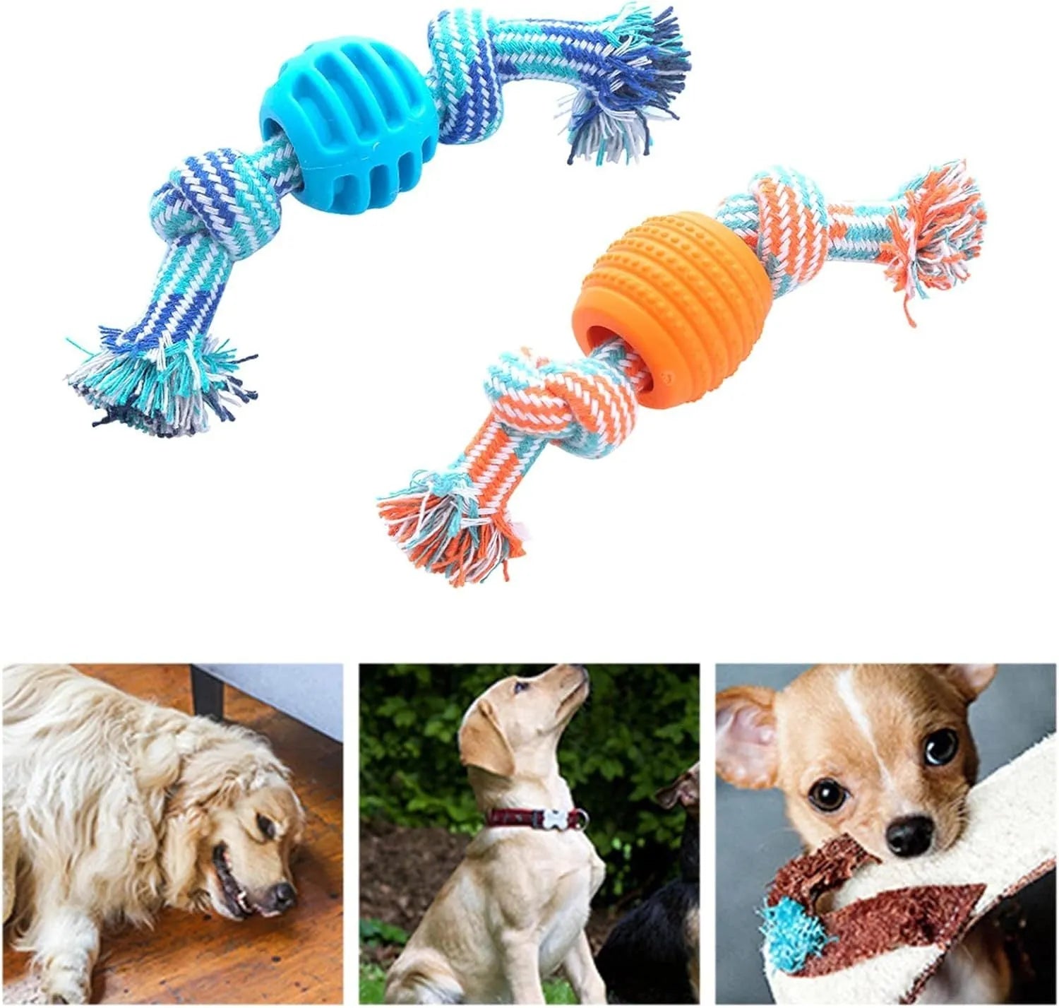 Blue dog chew toy with ropes and textured molar design for teeth cleaning