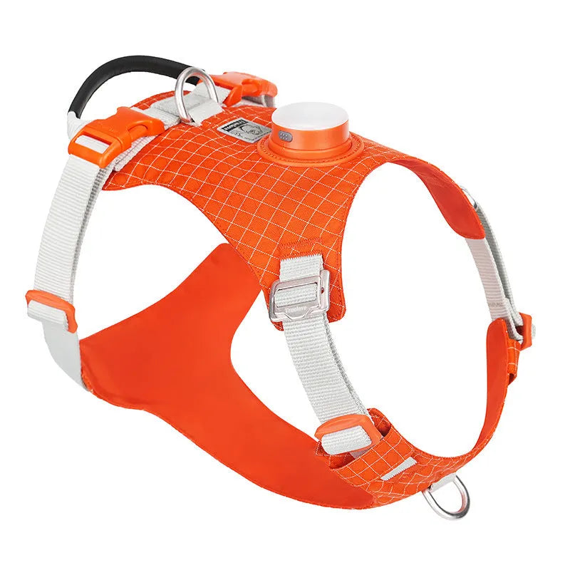 LED light dog chest harness in multiple colours with adjustable sizing for evening walks