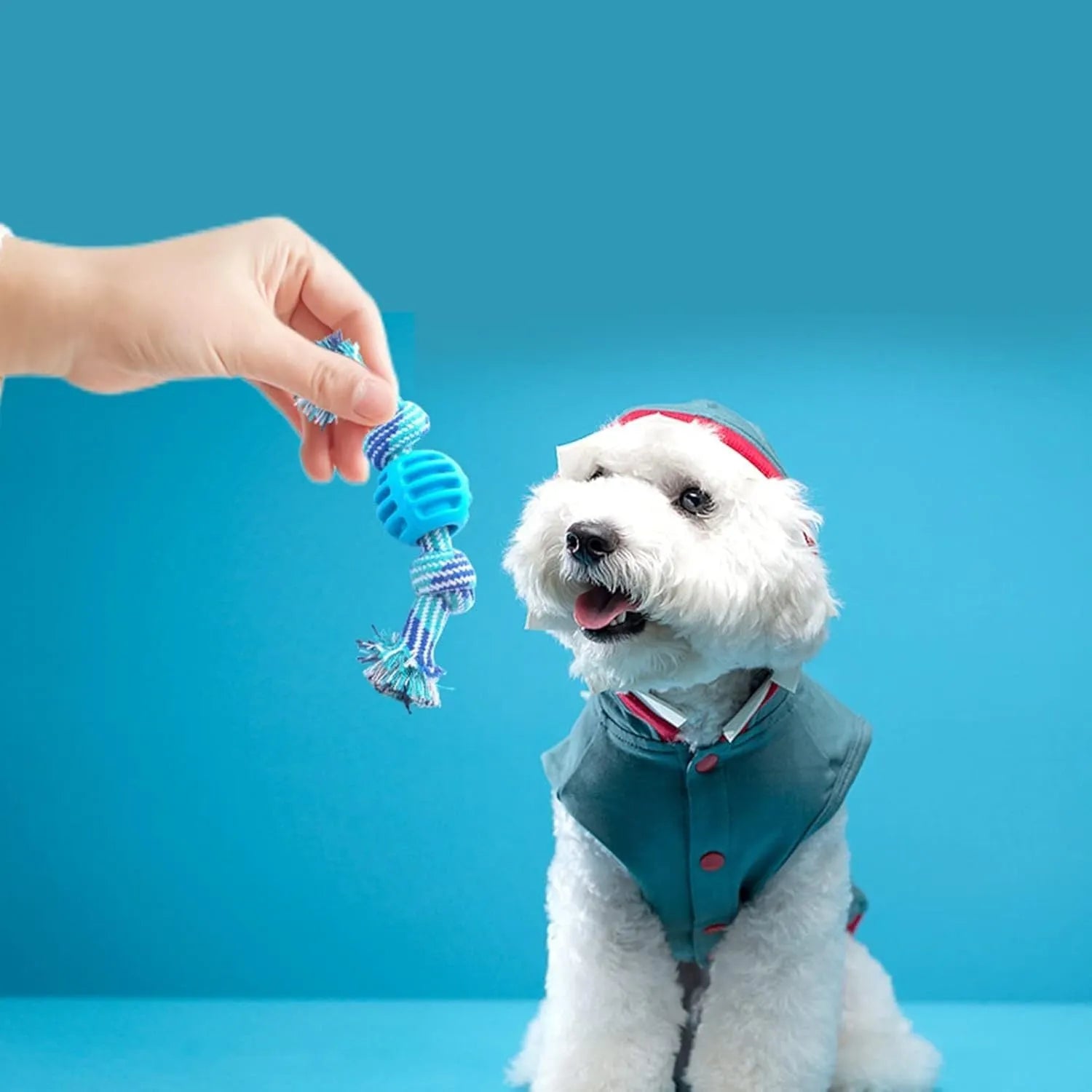 Blue dog chew toy with ropes and textured molar design for teeth cleaning