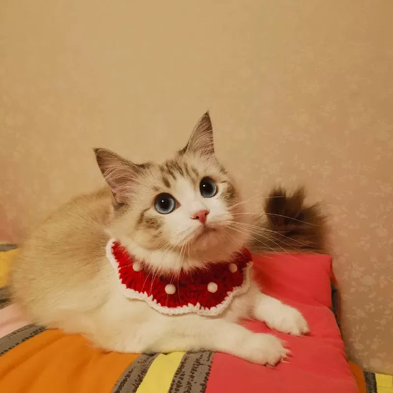 Cartoon pattern wool knitted collar for small pet cat or dog, shown in milk cotton yarn.