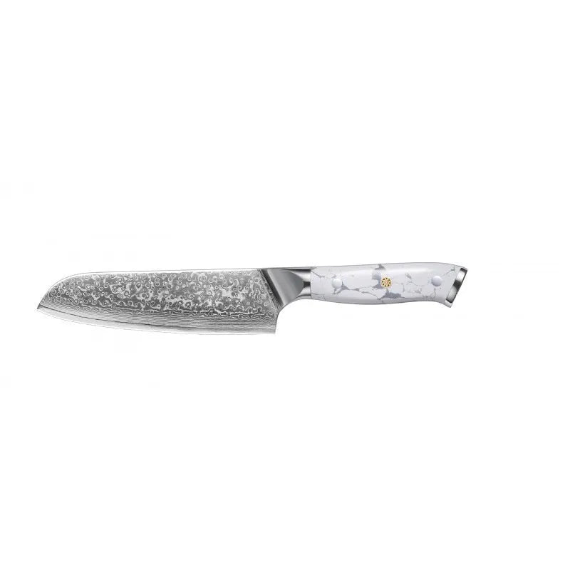 Damascus pattern VG10 steel combined chef knife with 21cm blade on wooden surface