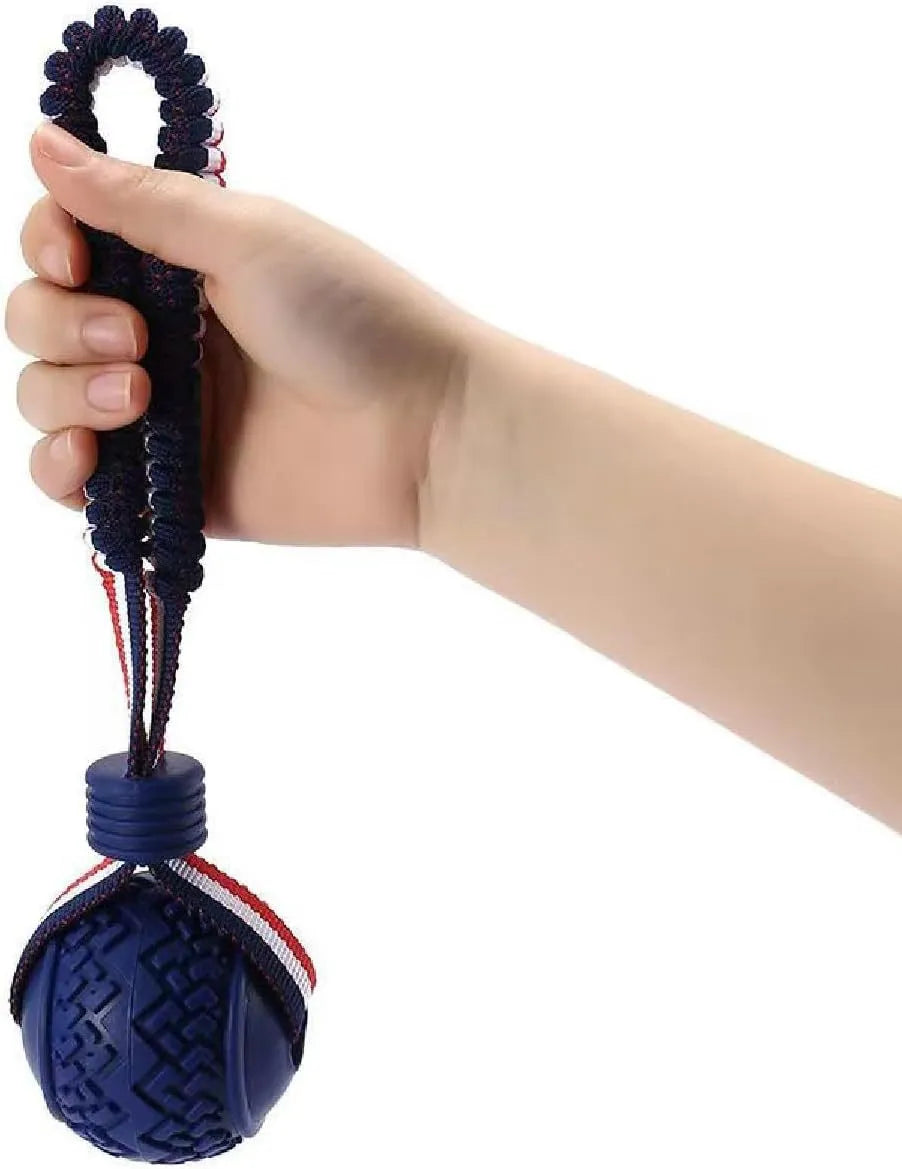 Blue dog ball with rope toy showing textured rubber surface and rope attachment for small breed dogs